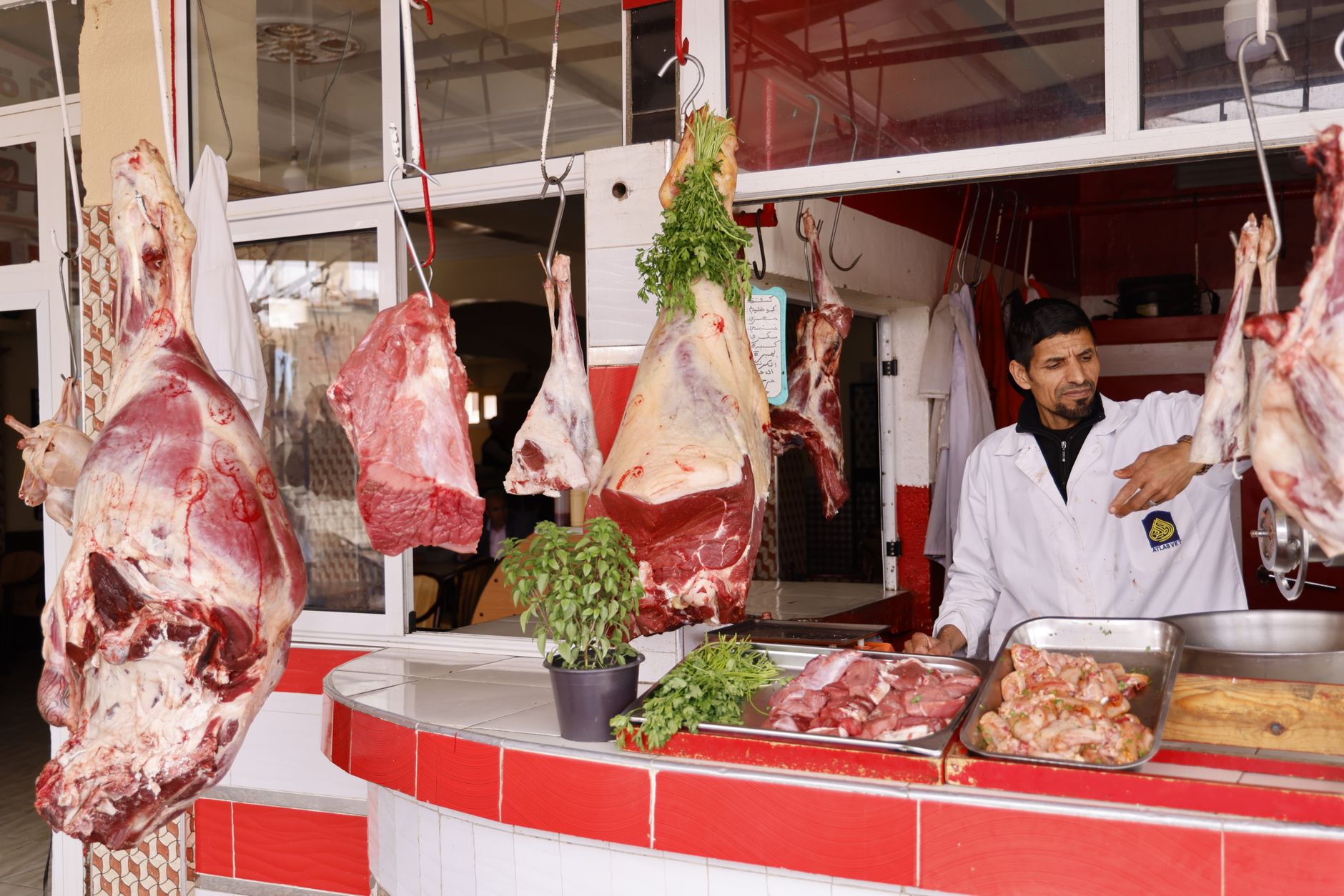 Intoxication à E. coli : quels risques pour les bouchers de l'Aisne ?