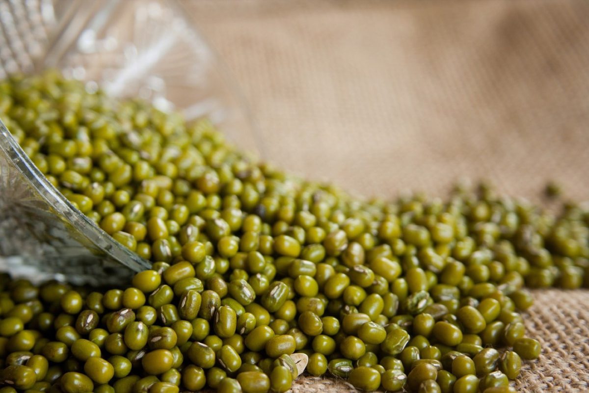 Conseils pour congeler légumes et plats maison