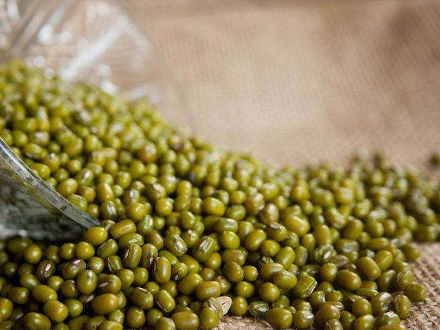 Conseils pour congeler légumes et plats maison