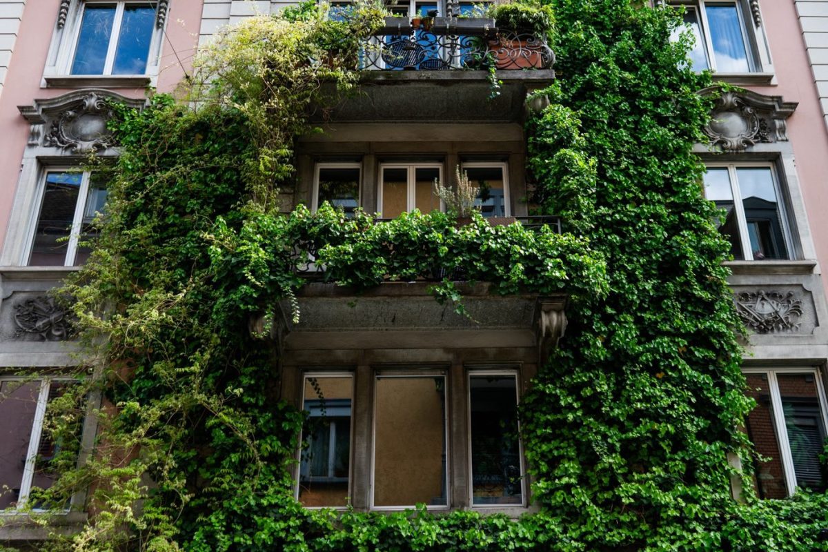 Créer un potager écologique sur balcon : guide pratique