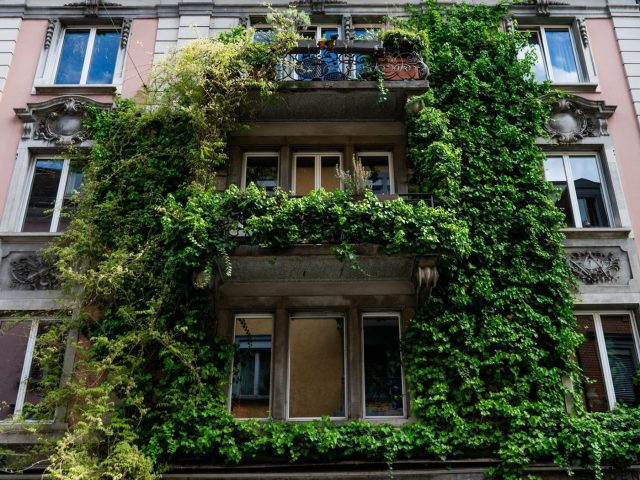 Créer un potager écologique sur balcon : guide pratique