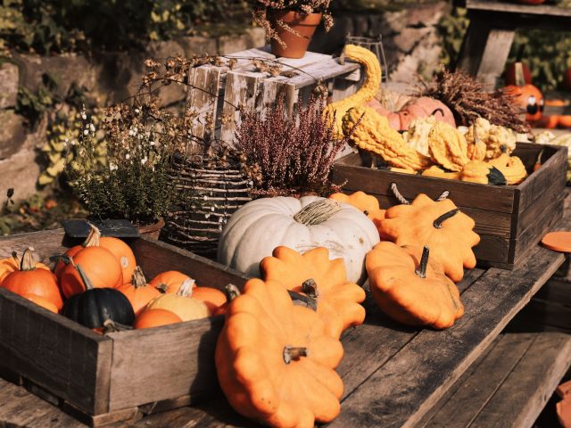 Préparez votre jardin pour l’automne : Évitez ces erreurs courantes !