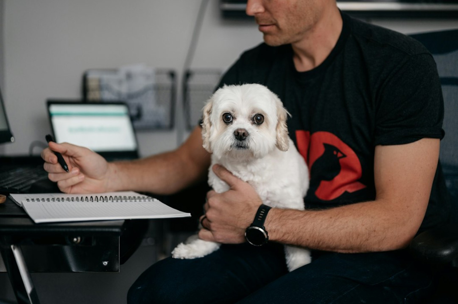 propriétaire de chien calculant le budget d'une pension canine avec une facture